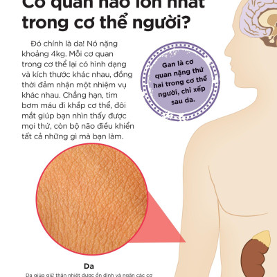 Tại Sao Máu Màu Đỏ? - Với 200 Câu Hỏi Đáng Kinh Ngạc Về Cơ Thể Người