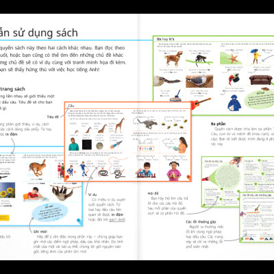 Sách Tham Khảo Trực Quan Về Ngữ Pháp Và Dấu Câu