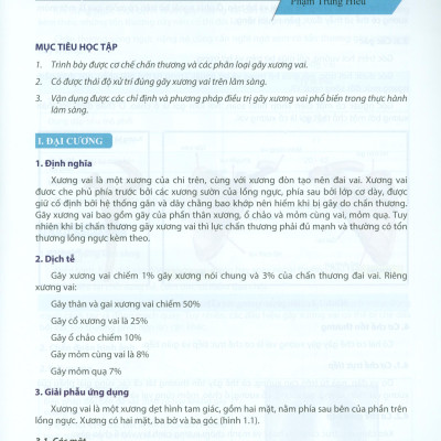 Chẩn Đoán Và Điều Trị Gãy Xương Trật Khớp Chi Trên