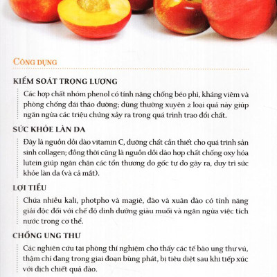 Dinh Dưỡng Chữa Bệnh - Trái Cây (Tái Bản)