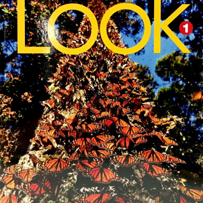 Look 1: Workbook With Online Practice