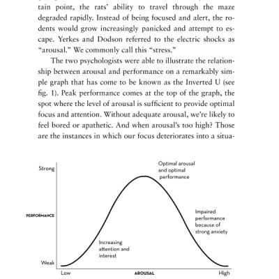 The Leading Brain