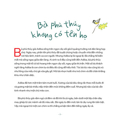 Adiba Bà Phù Thủy Trên Cây Sồi