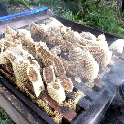Nến Sáp Ong 29 Giờ Kèm Dĩa Gỗ Dừa 10cm : Khử Mùi Hôi Phòng Kín, Thơm Nhẹ Mùi Mật Ong, Giúp Ngủ Sâu, Không Độc Tố - HÀNG CHÍNH HÃNG
