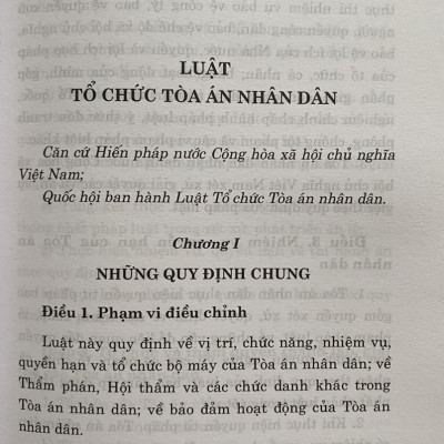 Luật Tổ Chức Toà Án Nhân Dân Năm 2024