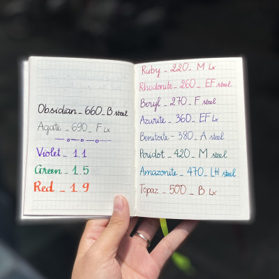 Bút Máy Lamy LX Marron 090