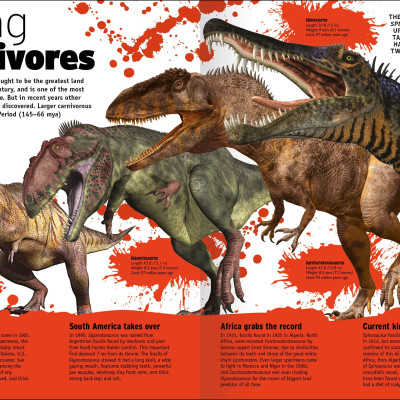 The Animal Book