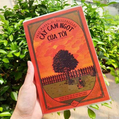 Combo sách Bố Con Cá Gai + Cây Cam Ngọt Của Tôi (sách hay về một thời tuổi thơ) tặng kèm bookmark