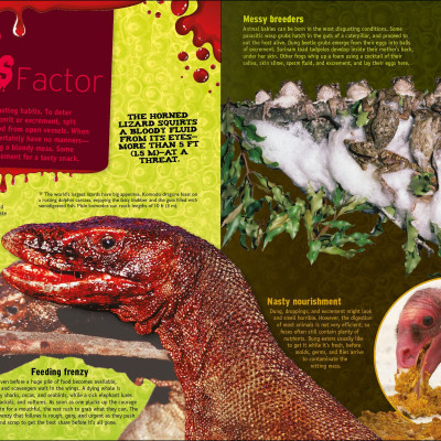 The Animal Book