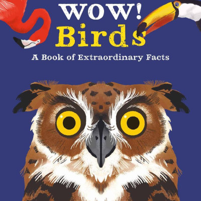 Wow! Look What Birds Can Do!