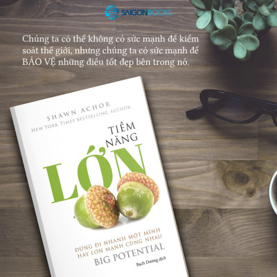 Tiềm năng lớn - Đừng đi nhanh một mình, hãy lớn mạnh cùng nhau (Big Potential) - Tác giả: Shawn Achor