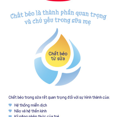Sữa bột công thức Semper Nutradefense Baby 2 400g
