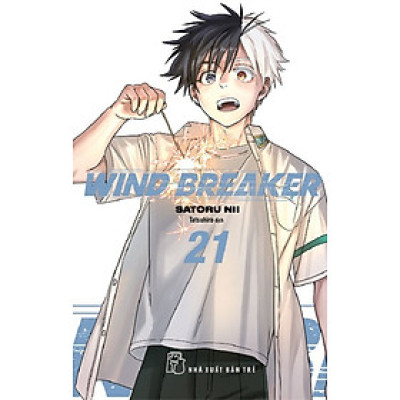 Wind Breaker 21