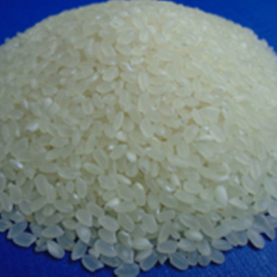 Gạo Nhật Fuji Sukura 5KG (Giống Nhật trồng tại Việt Nam)