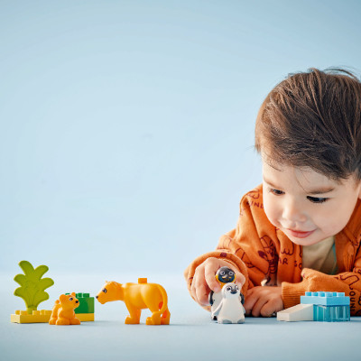LEGO DUPLO 10442 Đồ Chơi Lắp Ráp Gia Đình Động Vật Hoang Dã: Chim Cánh Cụt Và Sư Tử (10 chi tiết)