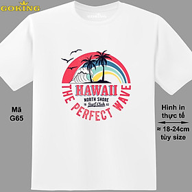 HAWAII, mã G65. Áo thun nam nữ in siêu đẹp. Áo phông thoát nhiệt GOKING hàng hiệu cao cấp