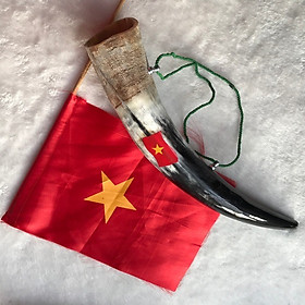 Kèn Tù Và sừng bò châu phi - cổ vũ tinh thần đội tuyển Việt Nam (OTH030) Tiếng kêu rất vang