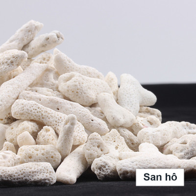 4KG San Hô Vụn vật liệu lọc hồ cá, trang trí bể cá, hồ thủy sinh cao cấp
