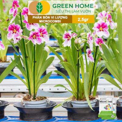 Phân Vi Lượng Micro Combi, GreenHome, Gói 2.5Gr, Cung Cấp Vi Lượng Thiết Yếu Cho Cây Trồng
