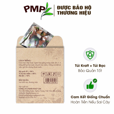 Hạt Giống Cải Ngồng PMP 5g