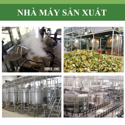 Tinh dầu Trái Chanh tươi 100ml nguyên chất từ thiên nhiên, xông phòng, khử mùi, thơm phòng, đuổi muỗi, thư giản - KingOil